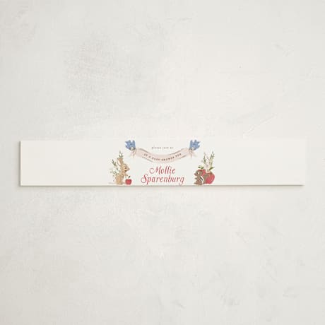 Baby Shower Belly Bands
