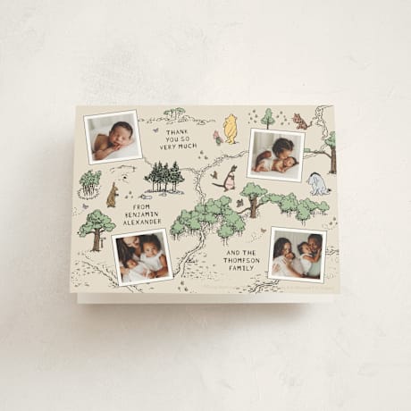 Birth Announcement Thank You Cards
