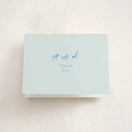 Birth Announcement Thank You Cards
