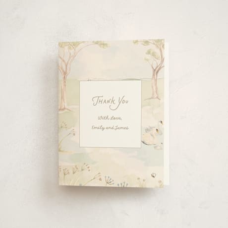 Birth Announcement Thank You Cards