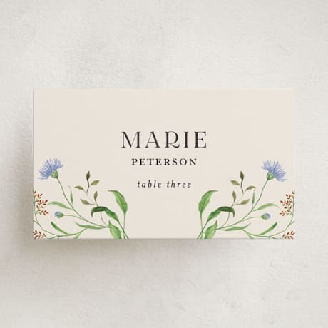 Party Place Cards