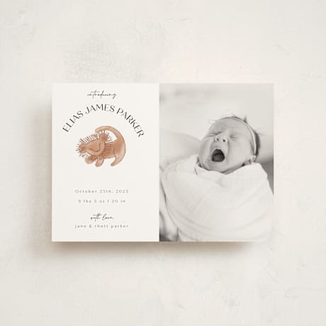 Birth Announcement Postcards