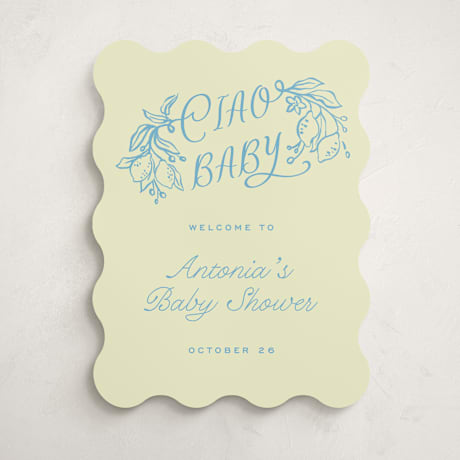 Baby Shower Welcome Signs