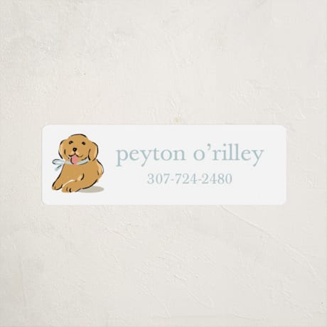 Custom Name Labels