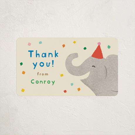 Children's Birthday Party Stickers