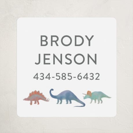 Custom Name Labels