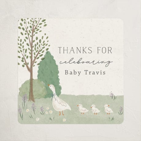 Baby Shower Stickers