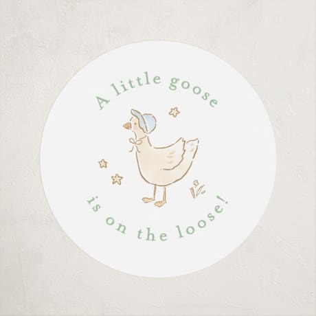 Baby Shower Stickers