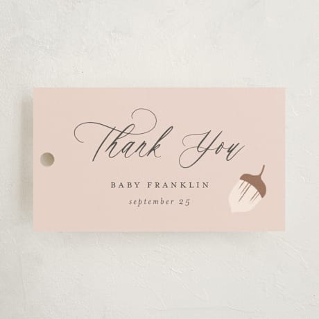Baby Shower Favor Tags
