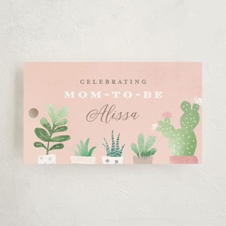 Baby Shower Favor Tags