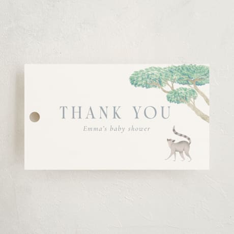 Baby Shower Favor Tags