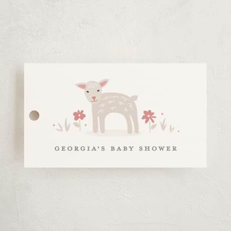 Baby Shower Favor Tags
