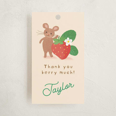 Children's Birthday Party Favor Tags