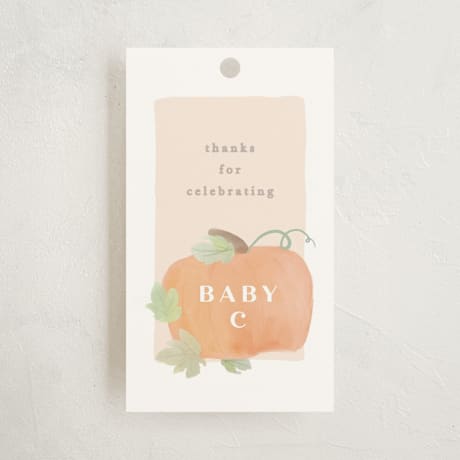 Baby Shower Favor Tags