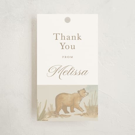 Baby Shower Favor Tags