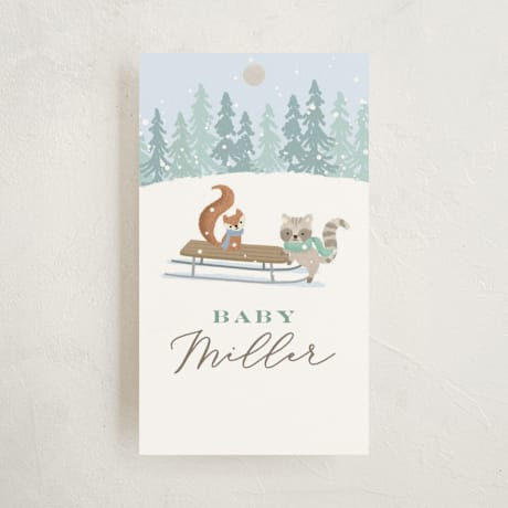 Baby Shower Favor Tags