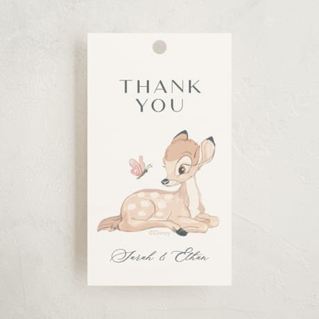 Baby Shower Favor Tags