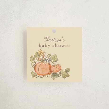 Baby Shower Favor Tags