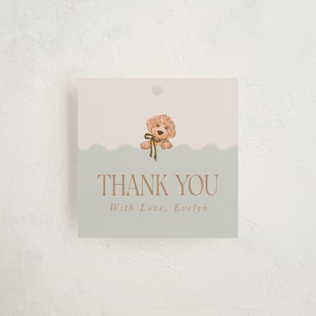 Baby Shower Favor Tags