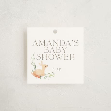 Baby Shower Favor Tags