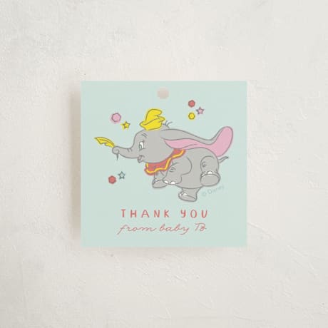 Baby Shower Favor Tags