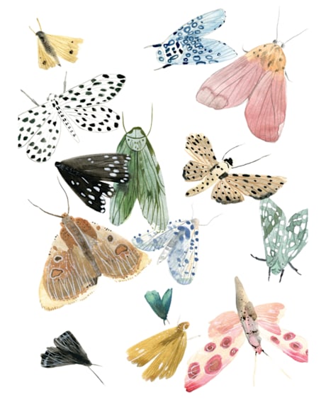Children's Wall Mural