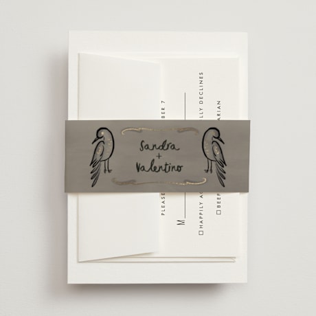 Foil-Pressed Belly Bands
