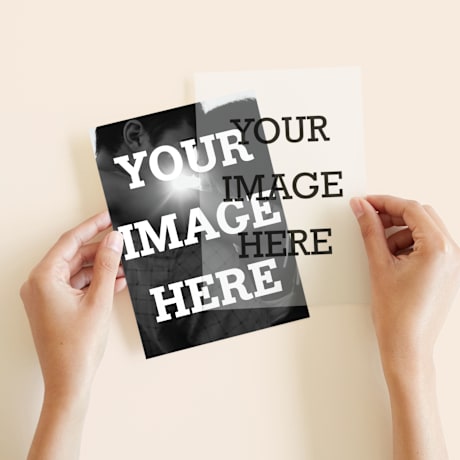 Vellum Overlays