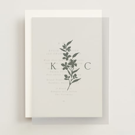 Vellum Overlays