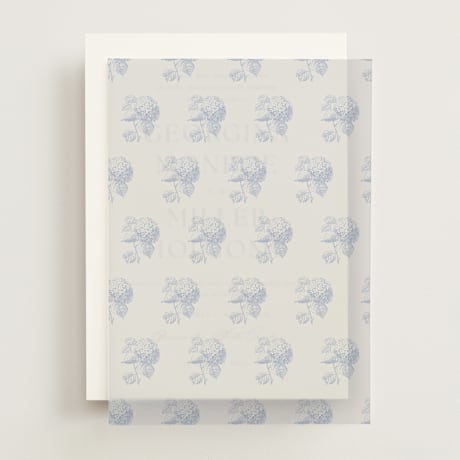 Vellum Overlays