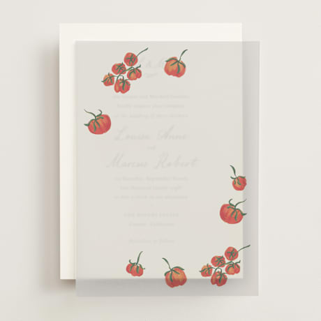Vellum Overlays