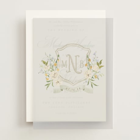 Vellum Overlays