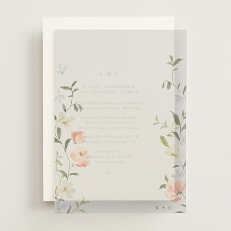 Vellum Overlays