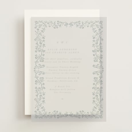 Vellum Overlays