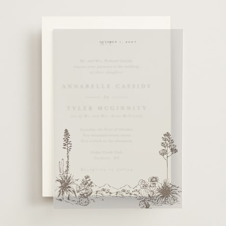 Vellum Overlays