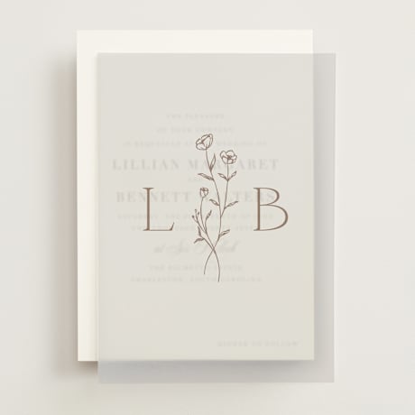 Vellum Overlays