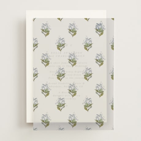 Vellum Overlays