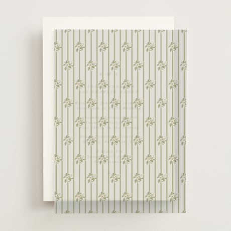 Vellum Overlays