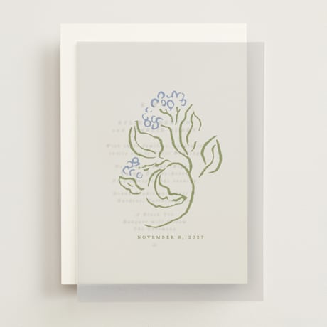 Vellum Overlays