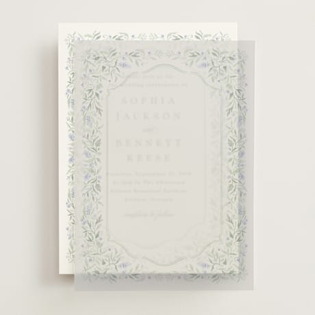 Vellum Overlays
