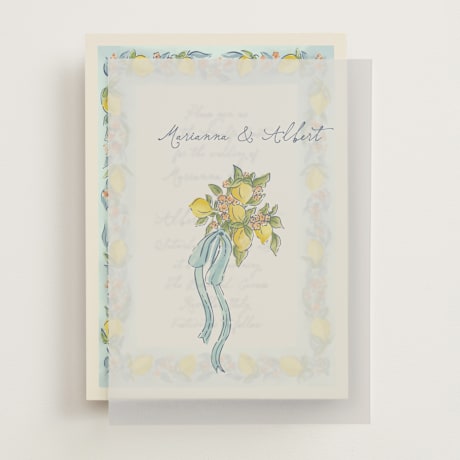 Vellum Overlays