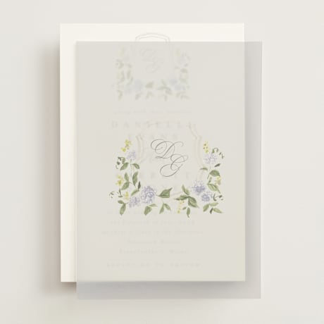 Vellum Overlays
