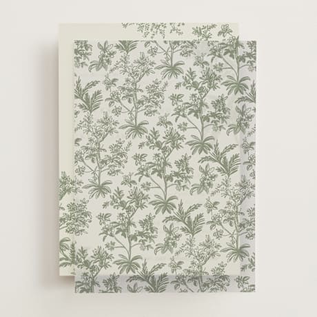 Vellum Overlays