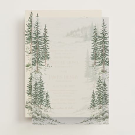 Vellum Overlays
