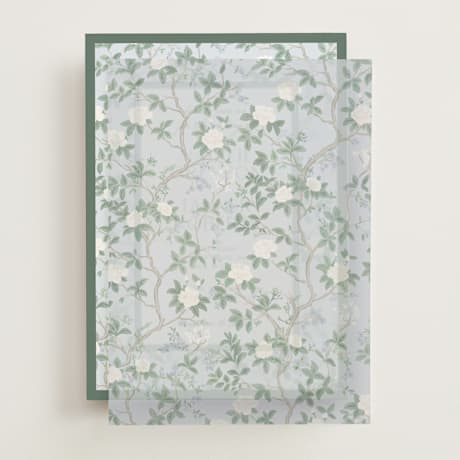 Vellum Overlays