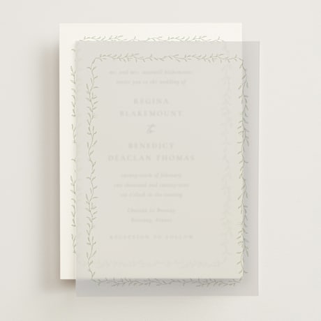 Vellum Overlays