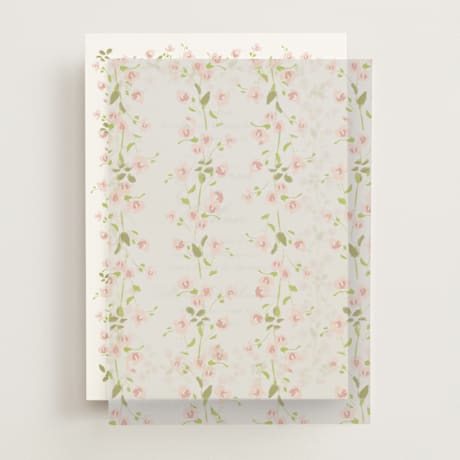 Vellum Overlays