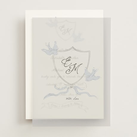 Vellum Overlays