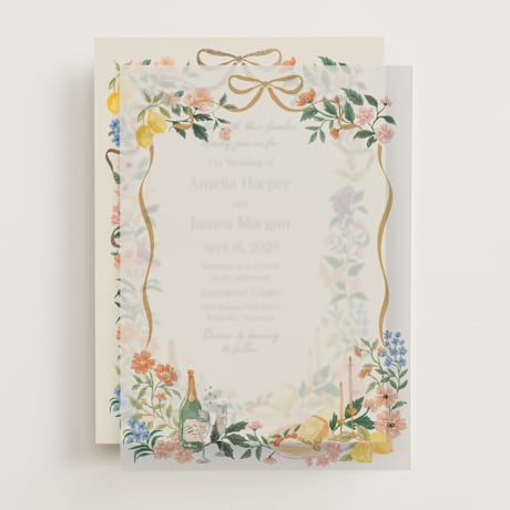 Vellum Overlays
