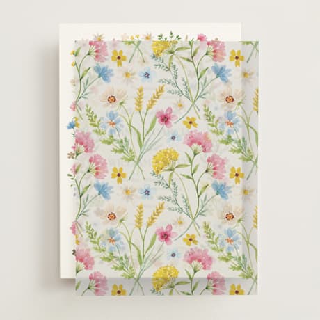 Vellum Overlays